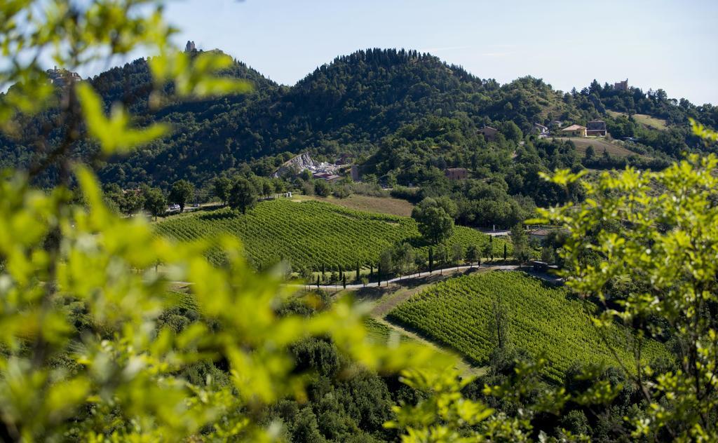 Tenuta Saiano Resort Torriana エクステリア 写真